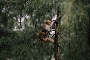 Image dyingforthepubtrade.co.uk 2391 1746582891866